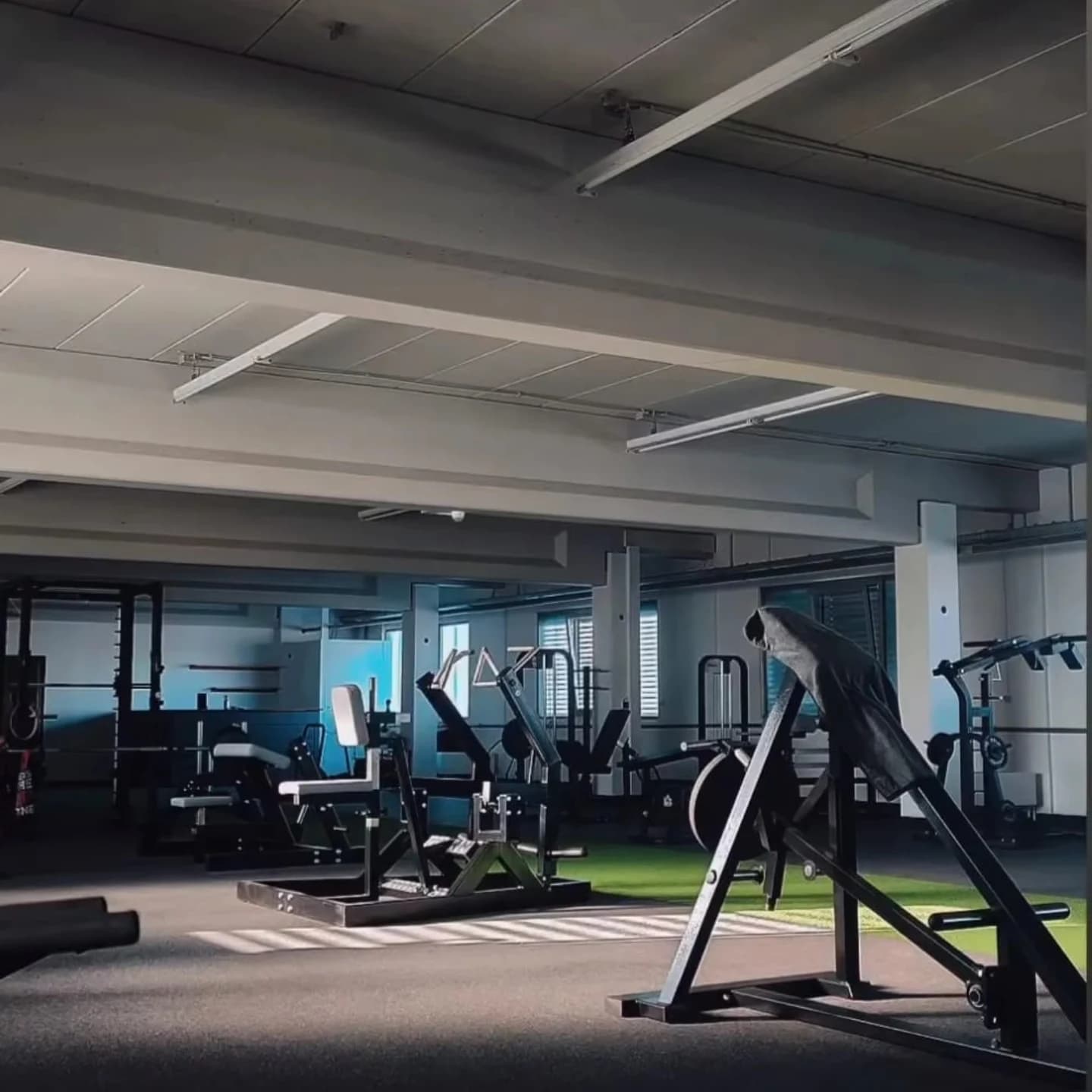 Gerätepark im WH FIT: plattenbelastete Maschinen und freie Trainingsfläche mit grünem Kunstrasen